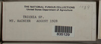 Image Associated With the Occurence